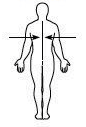 sc-5 sb-2-Anatomical Positions-Body Planesimg_no 115.jpg